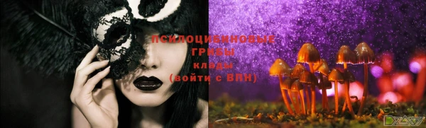 прущая мука Корсаков