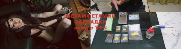 прущие грибы Костерёво