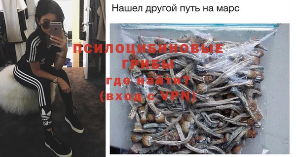 прущие грибы Костерёво