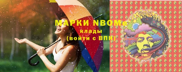 прущие грибы Костерёво