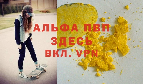 прущие грибы Костерёво