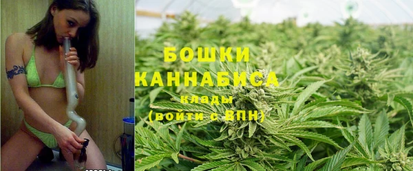 каннабис Коряжма