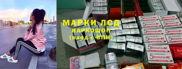 прущая мука Корсаков