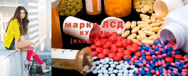 прущие грибы Костерёво