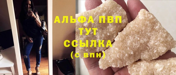 прущая мука Корсаков