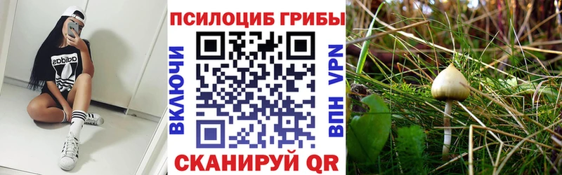 Купить где  Волчанск  Псилоцибиновые грибы MAGIC MUSHROOMS 